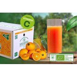 Organic Tarocco oranges for juice 17kg