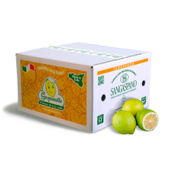 Box with 4 kg of Green summer lemons Bio