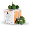 Avocado Biologici 4 kg