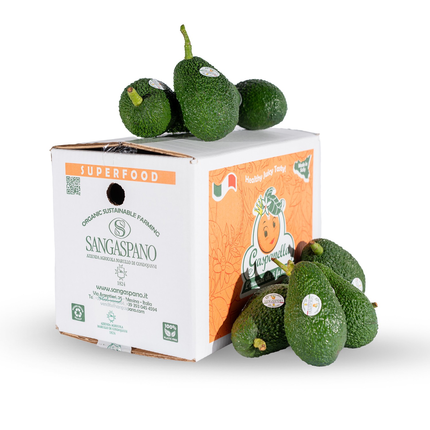 Avocado Biologici 4 kg
