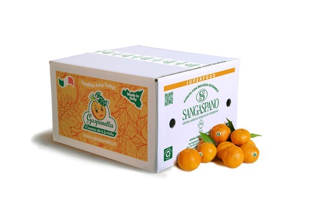 Tangerines 16kg