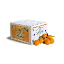 Mandarini 12kg