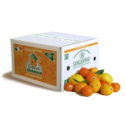 Citrus fruit mix 4kg