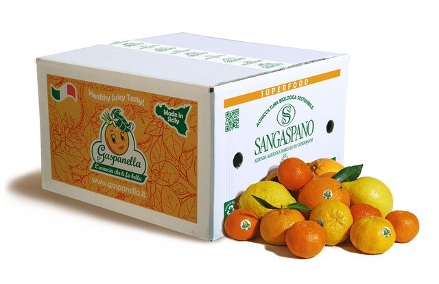Mix Zitrusfrüchte 4kg