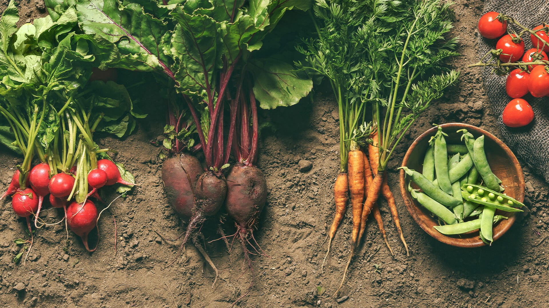 15 reason to eat organic